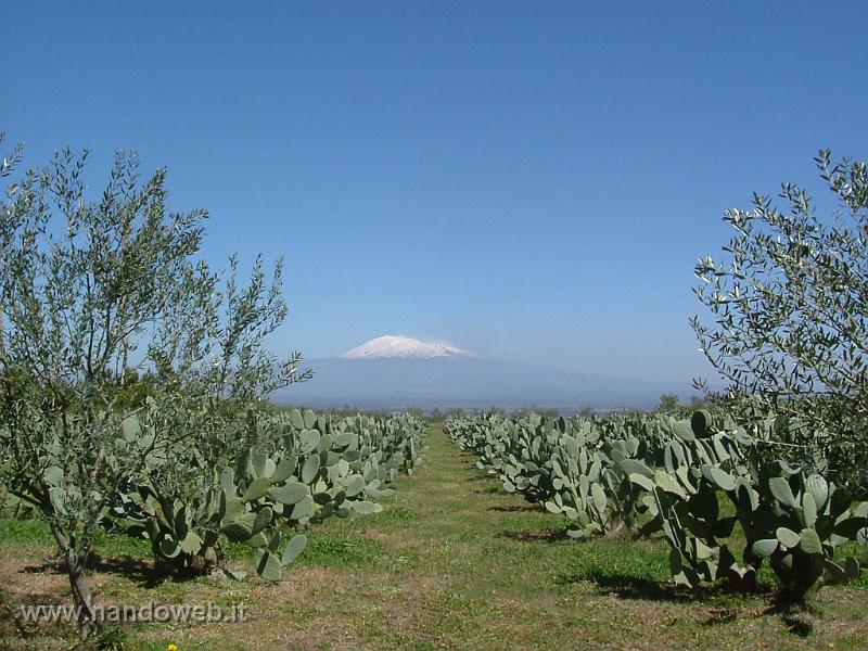 Etna Palagonia.jpg